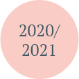 timeline_2020_2021.png